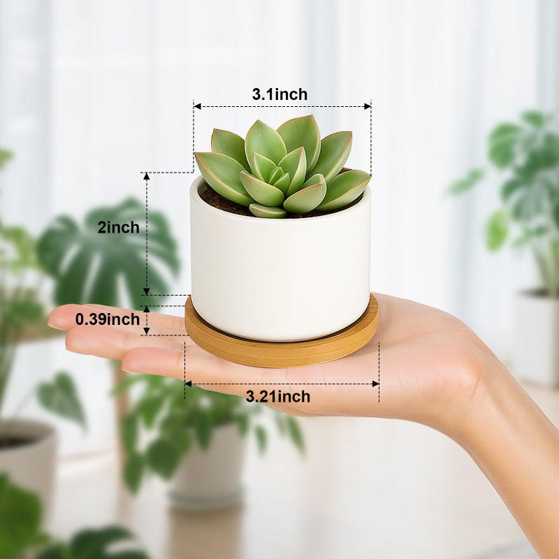 ZOUTOG Succulent Pots 3.15 Inch,4 Pack Succulent Planters,Small Pots for Plants with Drainage and Tray,White Ceramic Flower Planters for Indoor Plants,Home,Office,Desk - Image 2